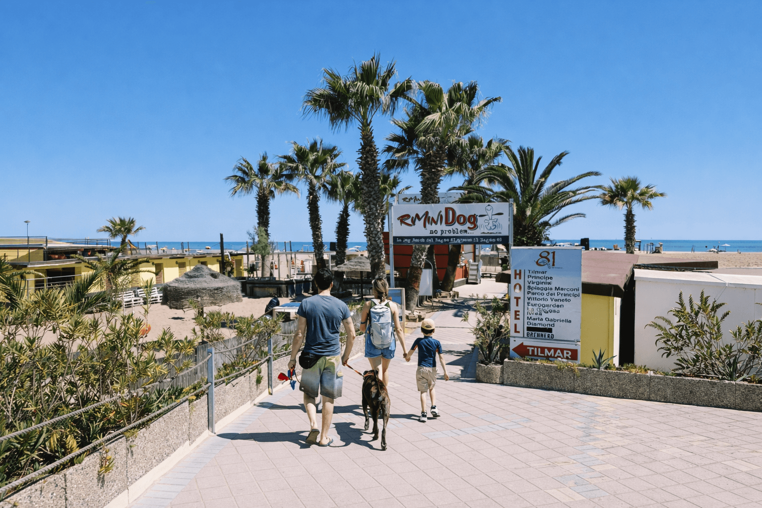Slider Image 14